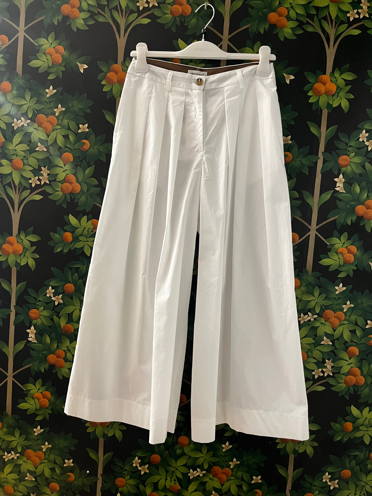 PANTALONI CON PENCE ANY1422