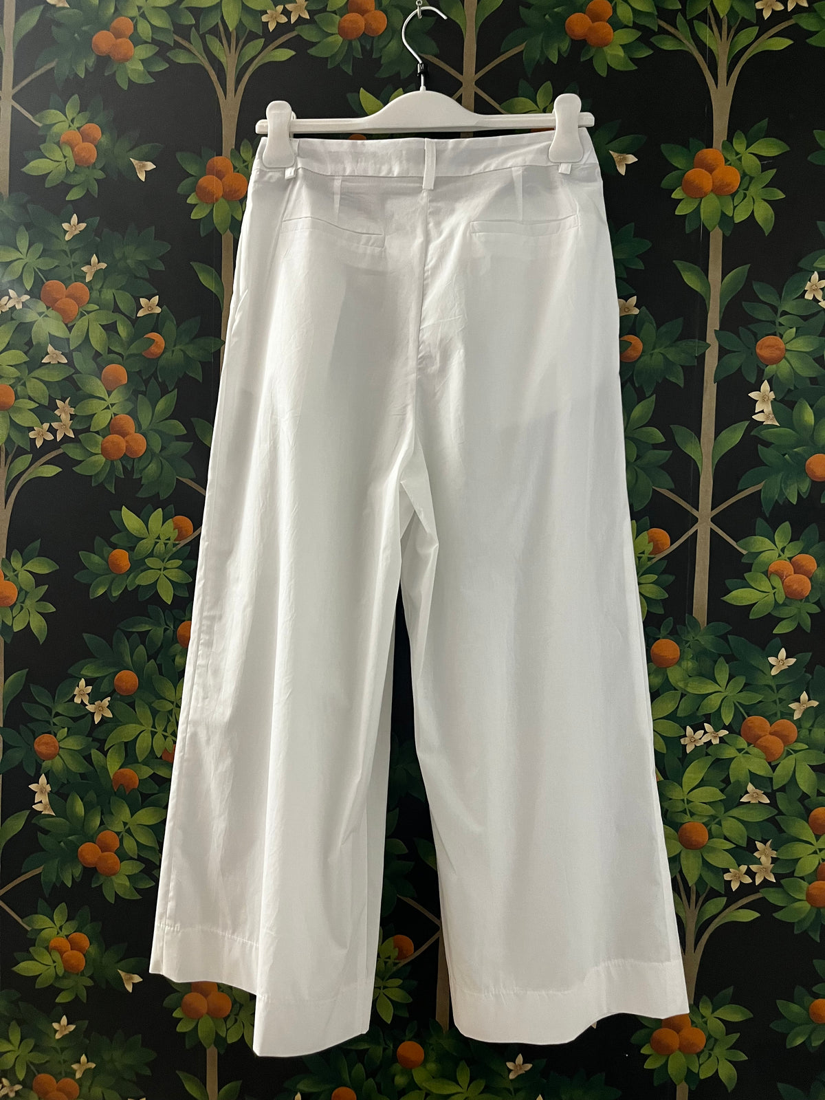 PANTALONI CON PENCE ANY1422