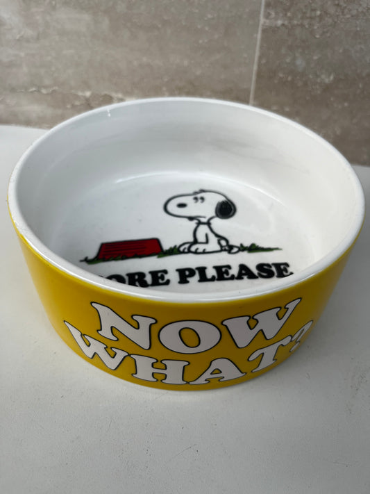 CIOTOLA SNOOPY
